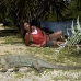 iguana_blue_qebp_gc_h_0222_cay0700.jpg